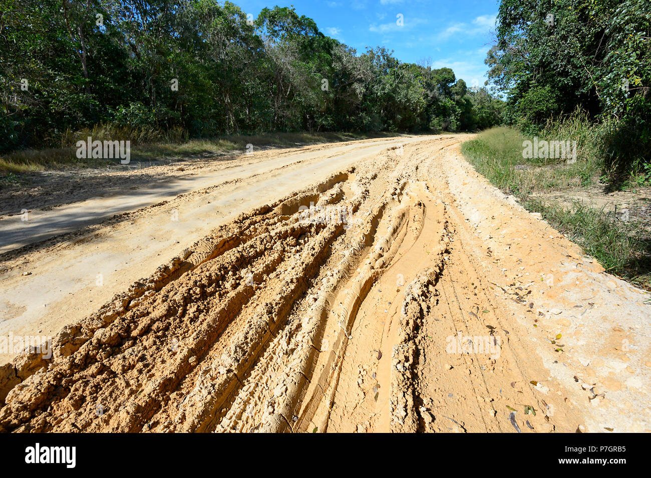 Schlammig und ausgefahrenen Feldweg zum Chili Beach, Cape York Halbinsel, Far North Queensland, FNQ, QLD, Australien Stockfoto