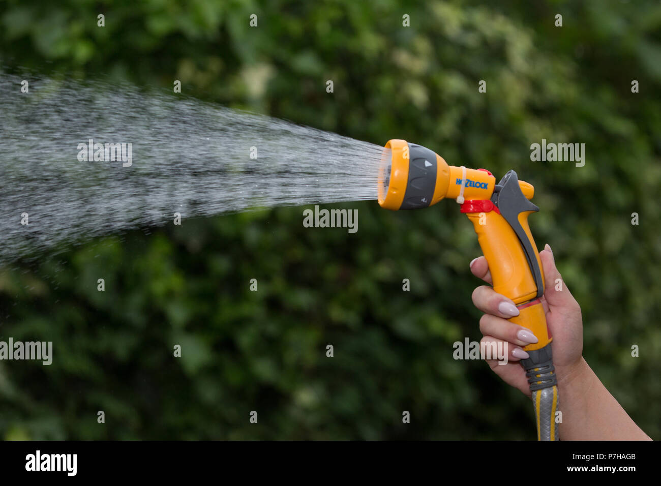 Eine verwendet einen Schlauch in Nottinghamshire vor einem möglichen Gartenschlauch Verbot takeseffect in Großbritannien. Stockfoto