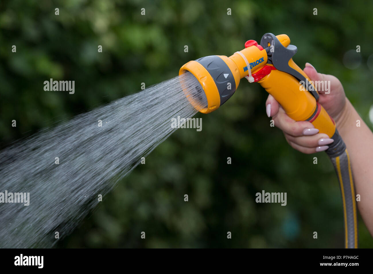 Eine verwendet einen Schlauch in Nottinghamshire vor einem möglichen Gartenschlauch Verbot takeseffect in Großbritannien. Stockfoto