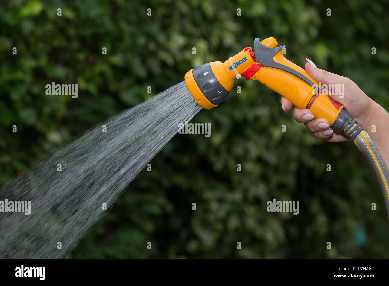 Eine verwendet einen Schlauch in Nottinghamshire vor einem möglichen Gartenschlauch Verbot takeseffect in Großbritannien. Stockfoto
