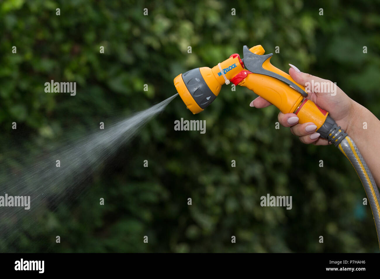 Eine verwendet einen Schlauch in Nottinghamshire vor einem möglichen Gartenschlauch Verbot takeseffect in Großbritannien. Stockfoto