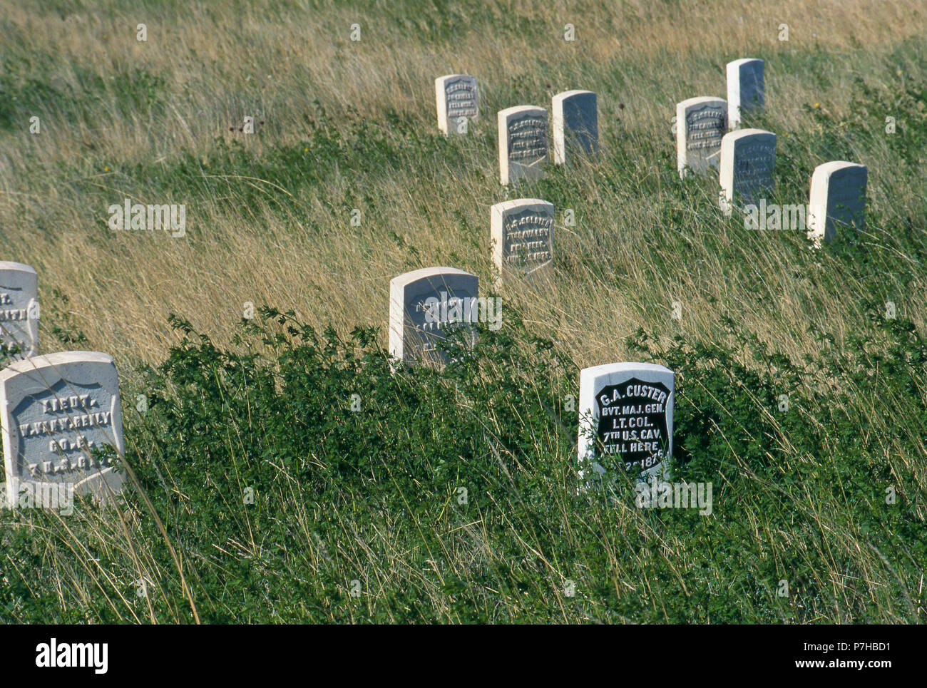 Custer Hill Markierungen, wo General Custer fiel und Einrichtungen 7 Kavallerie Soldaten gefunden wurden, Little Bighorn Battlefield, Montana. Foto Stockfoto