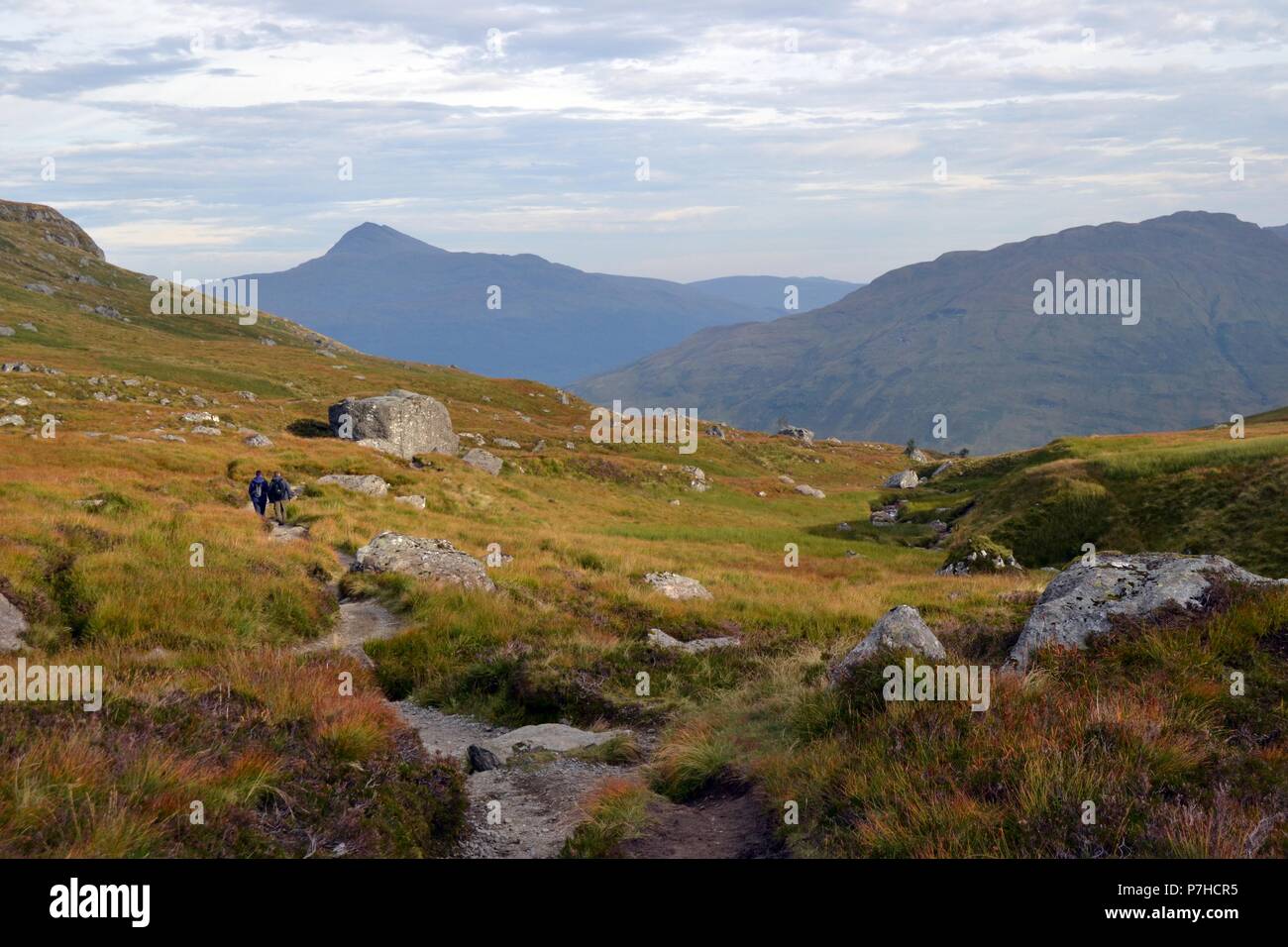 Der Schuster Berg in den Arrochar Alps, Schottland, Europa Stockfoto