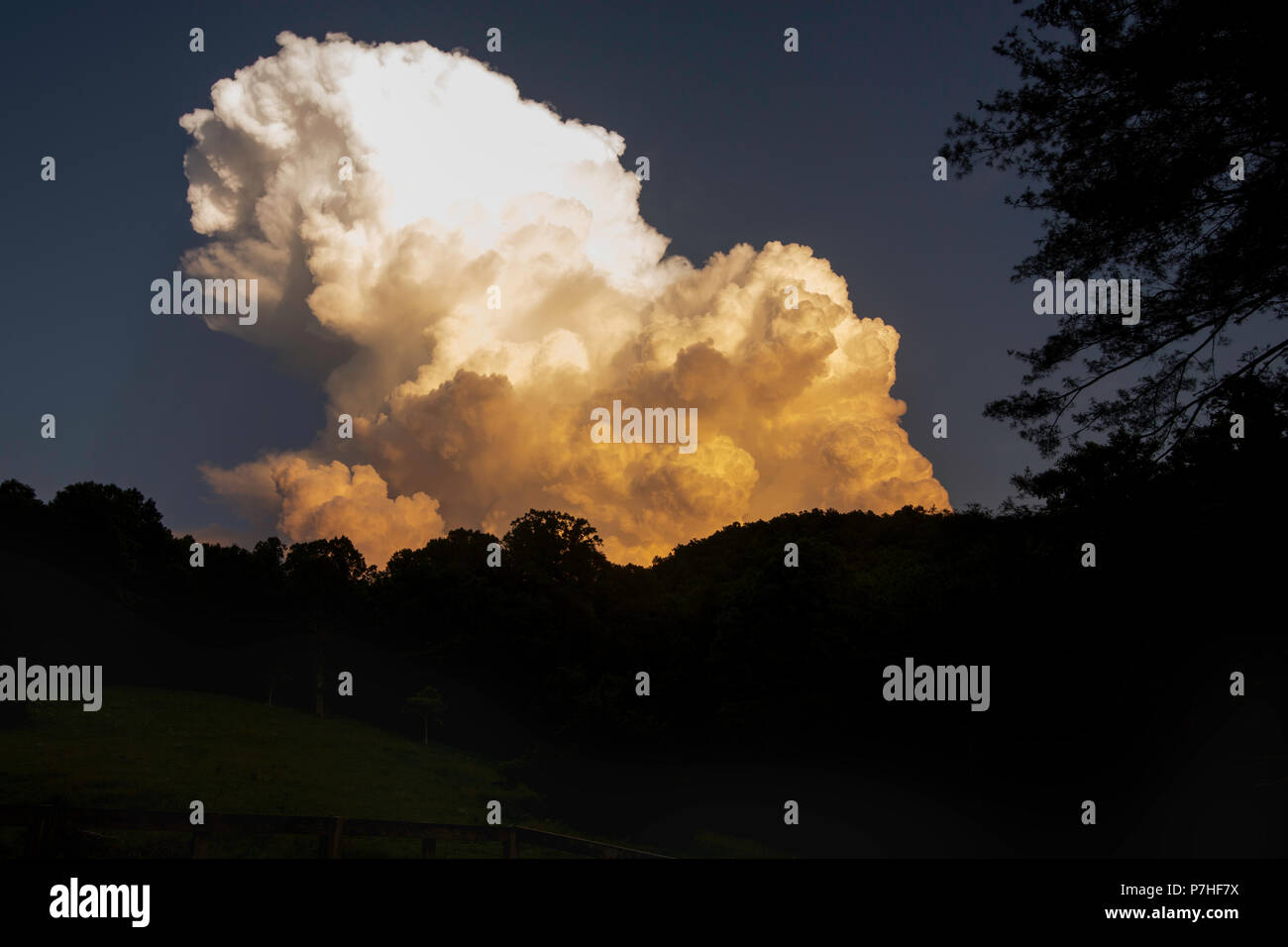 Sommer Thunderhead über Bäumen Stockfoto Sommer Thunderhead über Bäumen Stockfoto