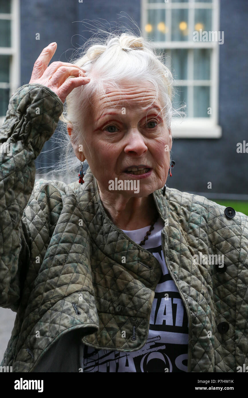 Dame Vivienne Westwood, Joseph Corré, Mutter und Sohn bietet Planet INEOS, eine Präsentation von Armageddon durch Kunststoff Umweltverschmutzung und Klimawandel' in Downing Street 10 verursacht. Mit: Dame Vivienne Westwood Wo: London, Großbritannien Wann: 05 Jun 2018 Credit: Dinendra Haria/WANN Stockfoto