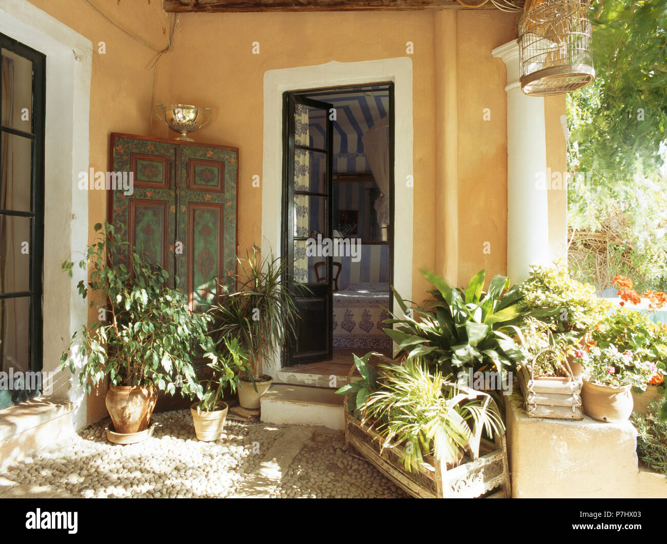 Grüne Pflanzen in Töpfen, Kisten aus Holz in Halle Haus im mediterranen Stil mit Glastüren Stockfoto