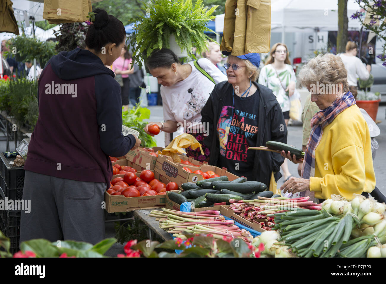 Ältere Frauen shop für frisches Gemüse am Union Square Farmers Market in New York City. Stockfoto