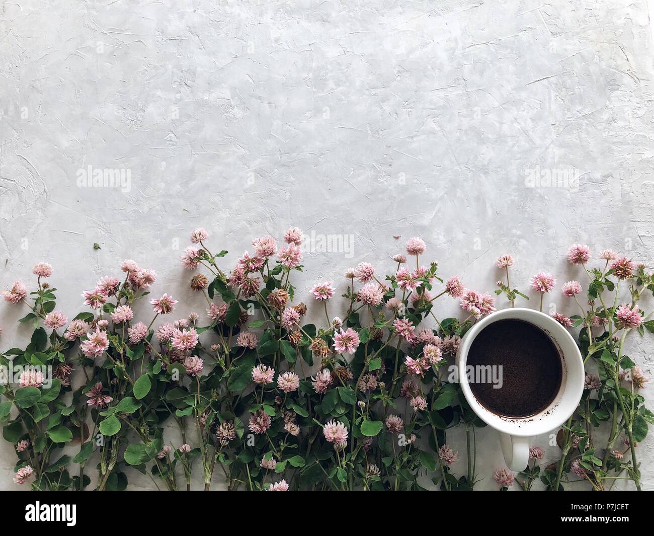 Tasse Kaffee und Klee Blumen Stockfoto