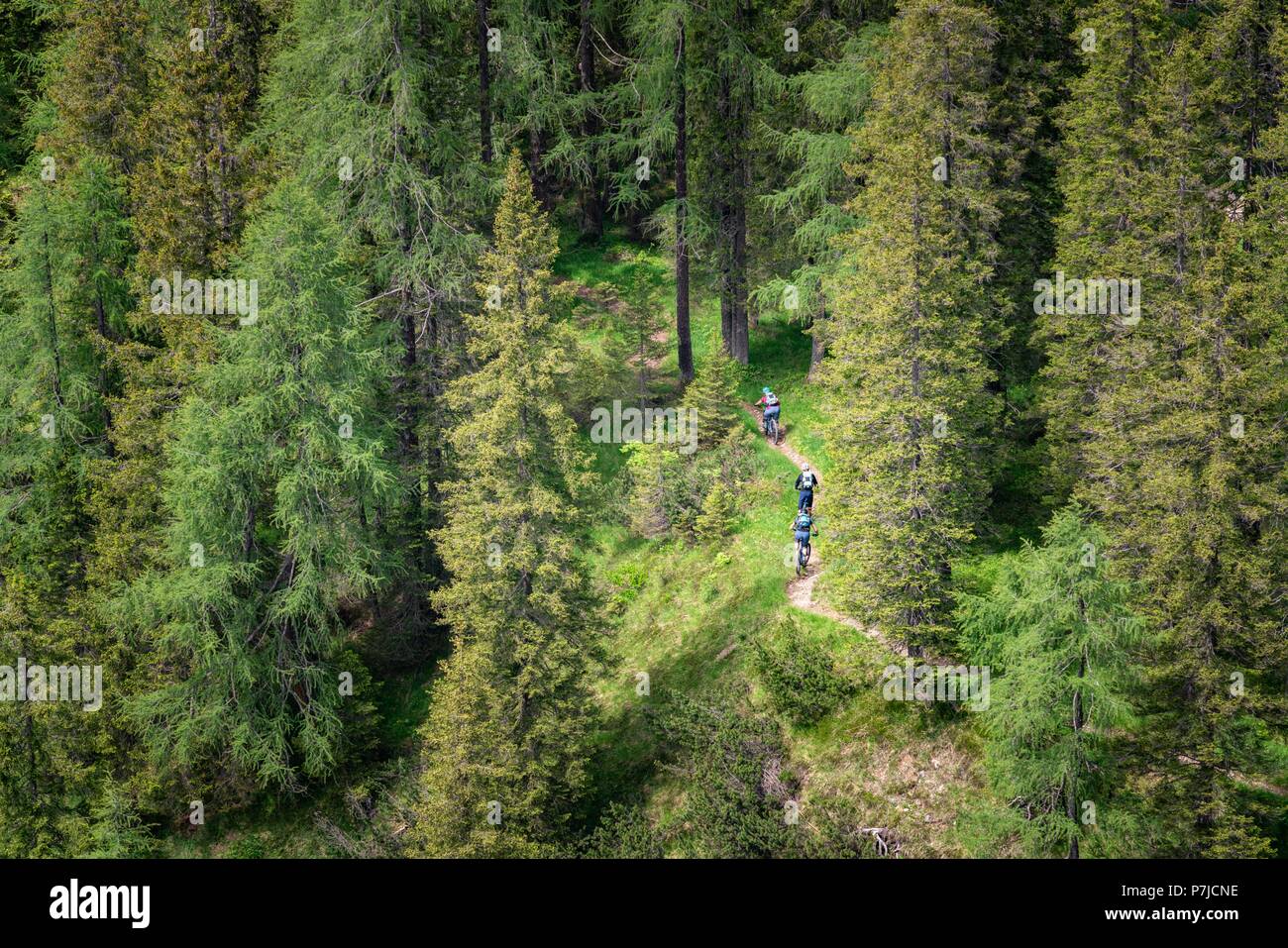 Drei Leute Mountainbiken, Fanes-Sennes-Prags Nationalpark, Dolomiten, Südtirol, Trentino, Italien Stockfoto