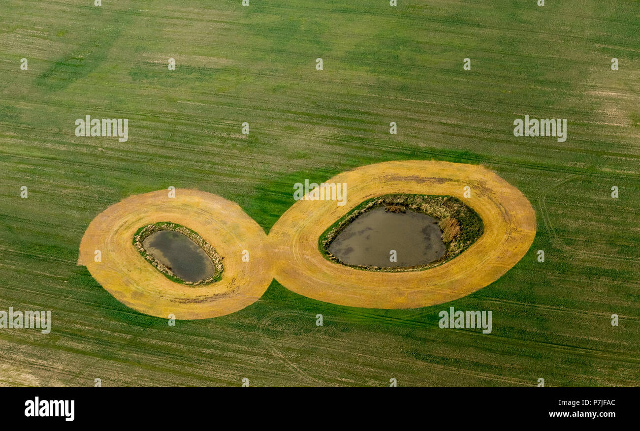 Kleine Teiche mit Streifen von Sand innerhalb eines Feldes, Lelkendorf, Mecklenburgische Seenplatte, Mecklenburg-Vorpommern, Deutschland umgeben Stockfoto