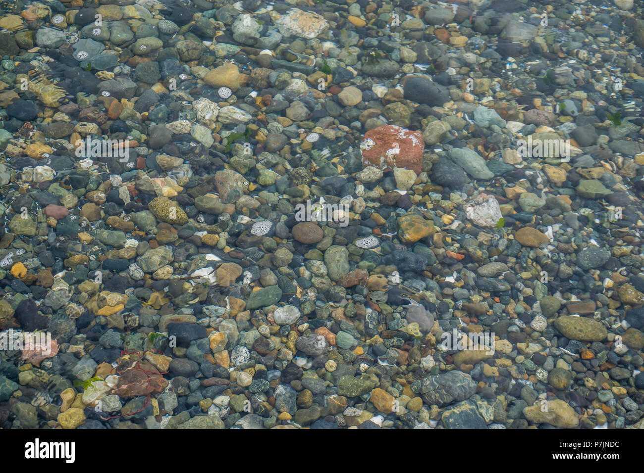 Das Meer unten können durch klares Wasser gesehen werden. Hintergrund gedreht. Stockfoto