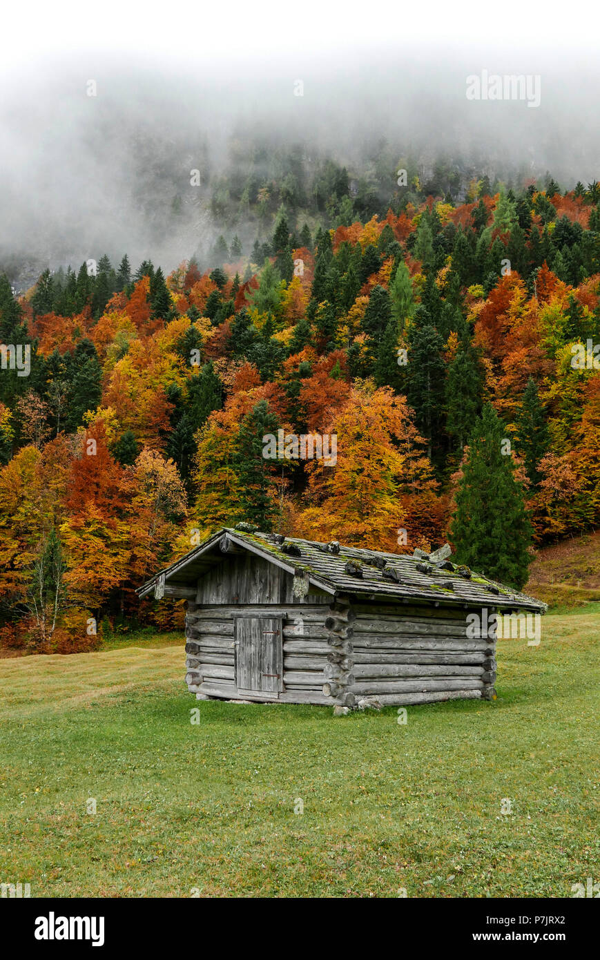 Traditionelle "HEUSTADL" Scheune für die Lagerung von Heu, herbstliche