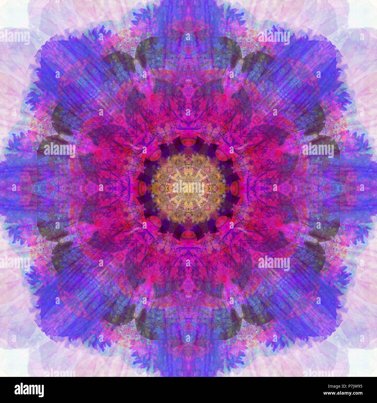 Fotografische Blume Mandala, Pink, Lila, Gelb, Stockfoto