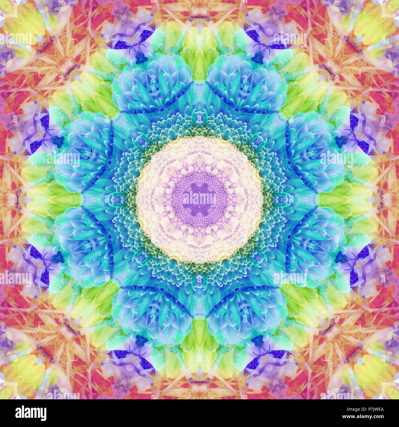 Fotografische Blume Mandala, lila, gelb, türkis, rosa, Stockfoto