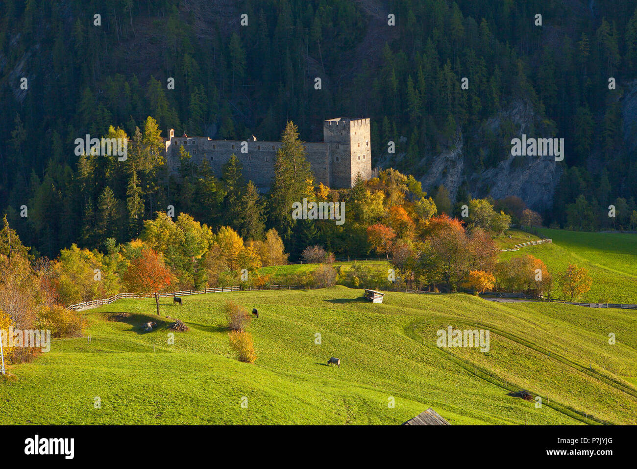 Österreich, Tirol, Oberinntal, Schloss Berneck in der Nähe von Kauns Stockfoto