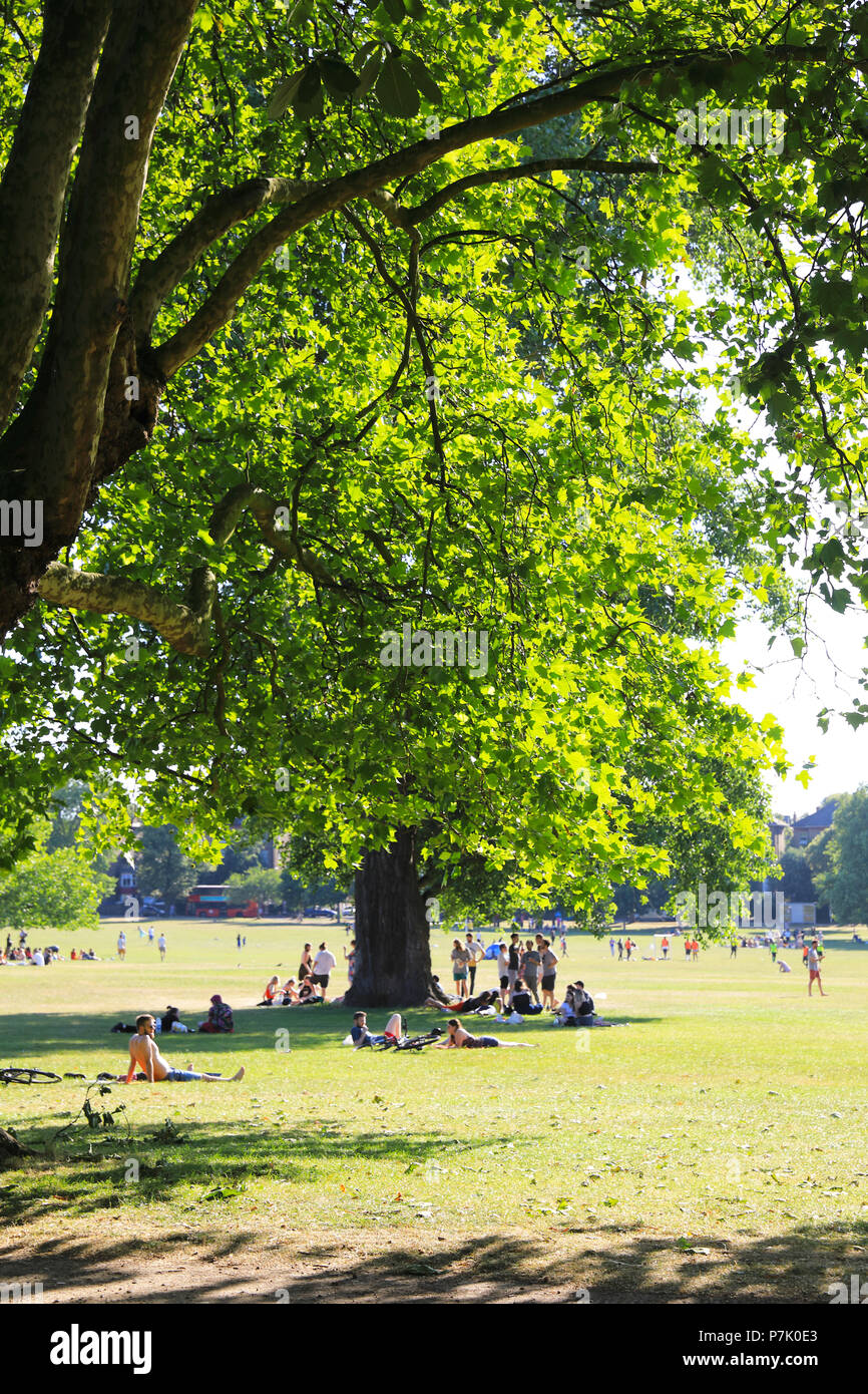 Beliebte Peckham Rye Gemeinsamen am Tag eine sonnige, Sommer, im Southwark in London, England, Großbritannien Stockfoto