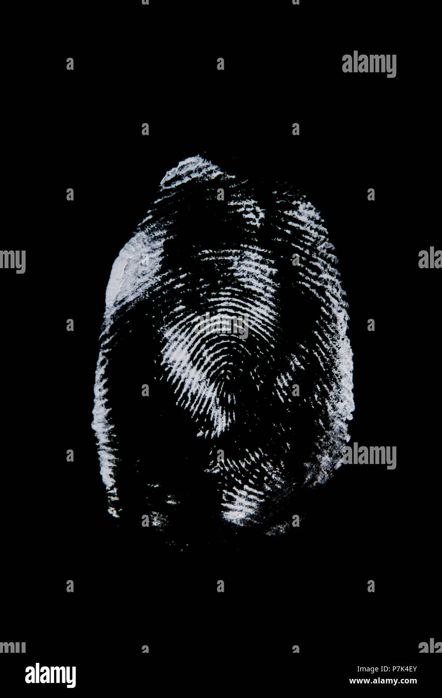 Detail eines Fingerabdrucks Stockfoto