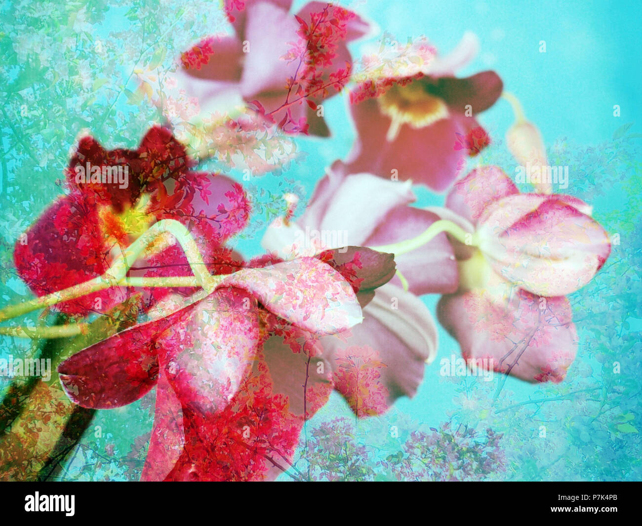 Fotomontage, Blumen, Bäumen, detail, Stockfoto
