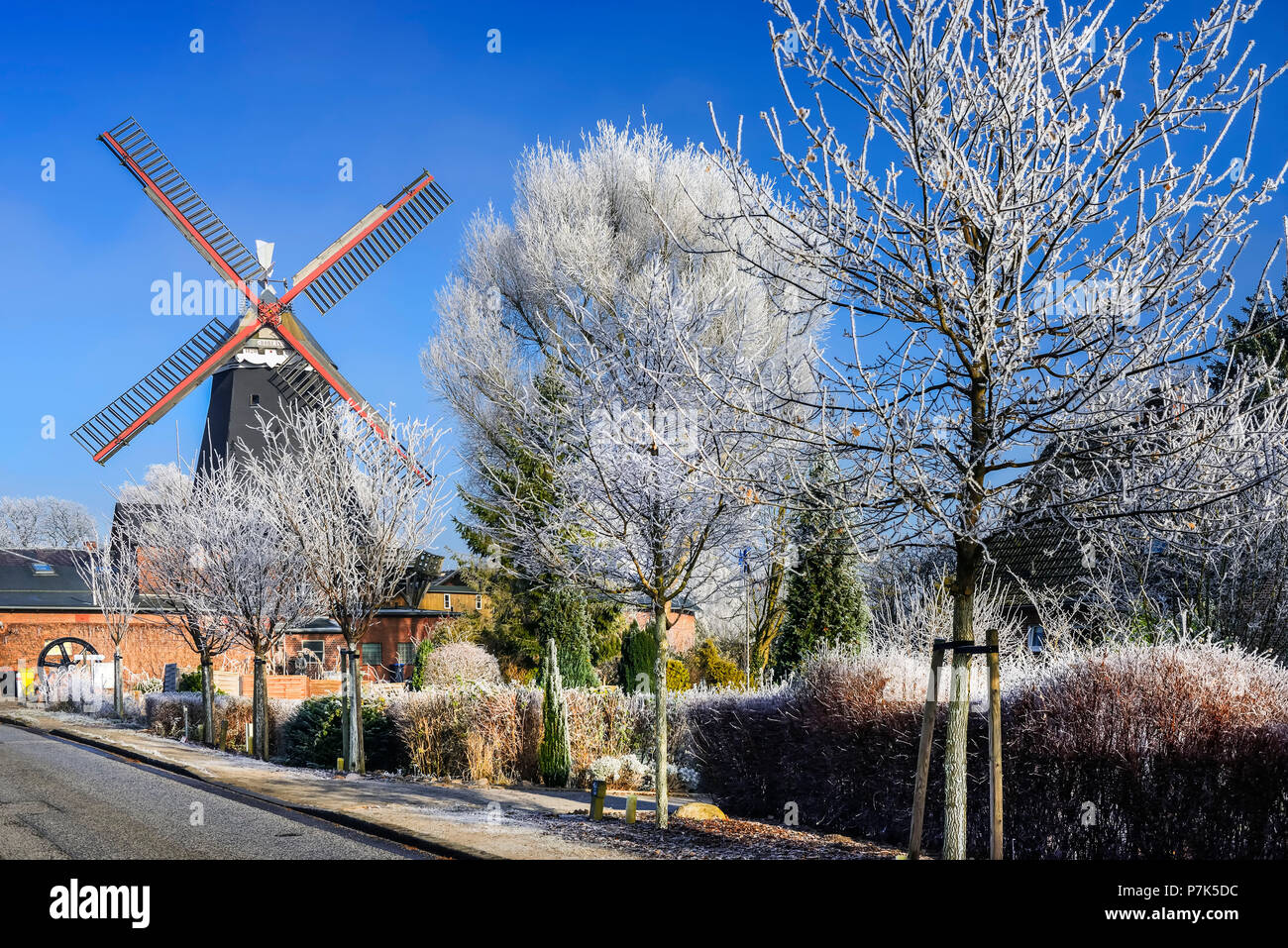 Deutschland, Hamburg, Kirchwerder, Riepenburger Mühle (Mühle) im Winter Stockfoto