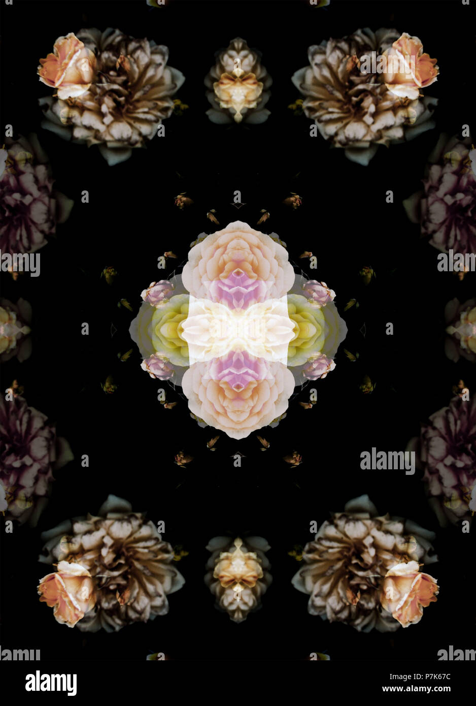 Fotografische Blumenmuster, symmetrisch Stockfoto