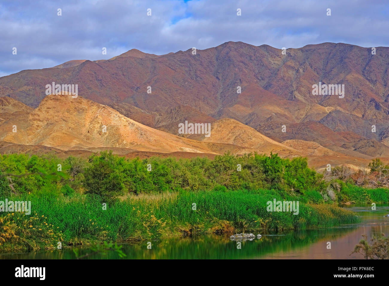 Rocky Mountain Range auf der südafrikanischen Seite der Reed-reiche Orange River/Oranjerivier (Grenzfluss) zwischen Namibia und Südafrika, Afrika, Namibia, Südafrika Stockfoto