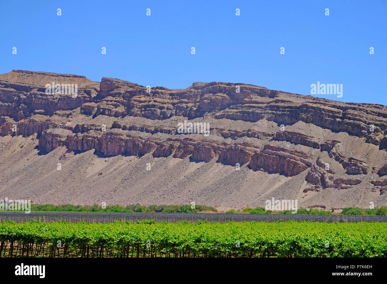 Weinbau am Oranje schließen Noordoewer, stark erodierte, malerische Berge auf der gegenüberliegenden Seite in Südafrika, Namibia, grenzort Noordoewer Stockfoto