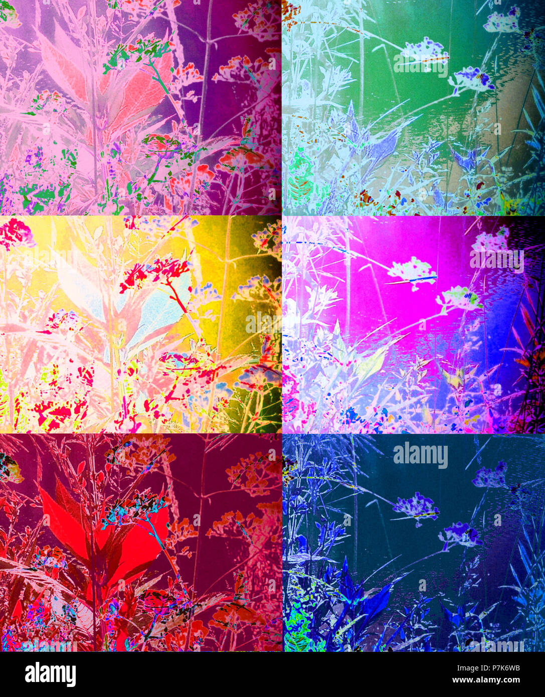 Collage von mehrschichtigen Fotografien von Zweigniederlassungen, farbig Stockfoto