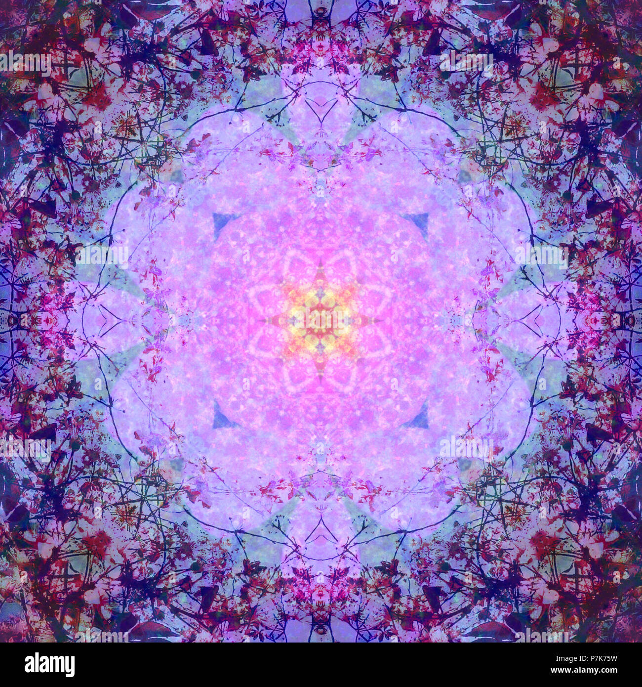Verfassen von Blumen in einem Mandala ornament Stockfoto