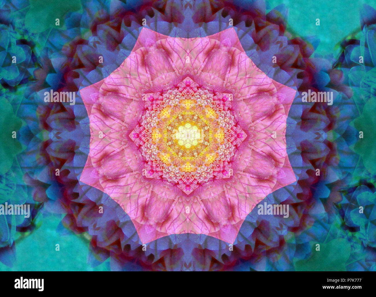 Verfassen von Blumen in einem Mandala ornament Stockfoto