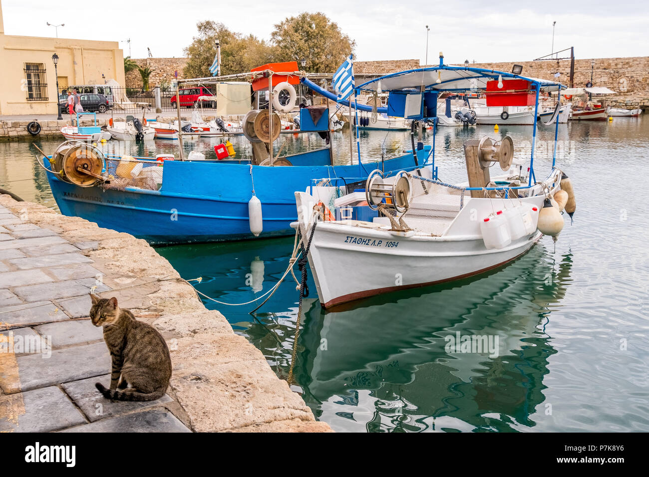 Katzen am Pier in den venezianischen Hafen von Rethymno, Fischerboote, Europa, Kreta, Griechenland, Stockfoto