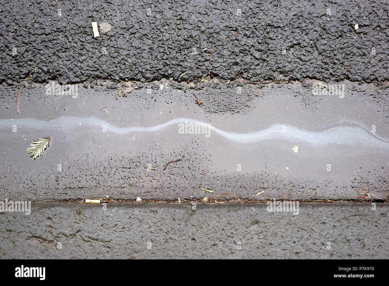 Öl Film/Öl auf dem nassen Asphalt der Straße trace Stockfoto