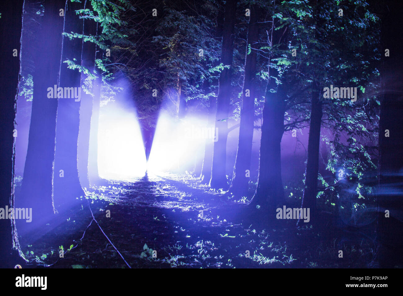 Lichtquelle im Wald. Stockfoto
