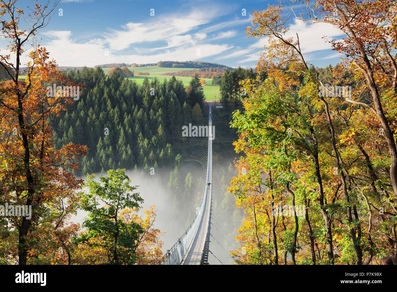 Hängebrücke, Geierlay Mörsdorfer Bachtal, Mörsdorf, Hunsrück, Rheinland ...