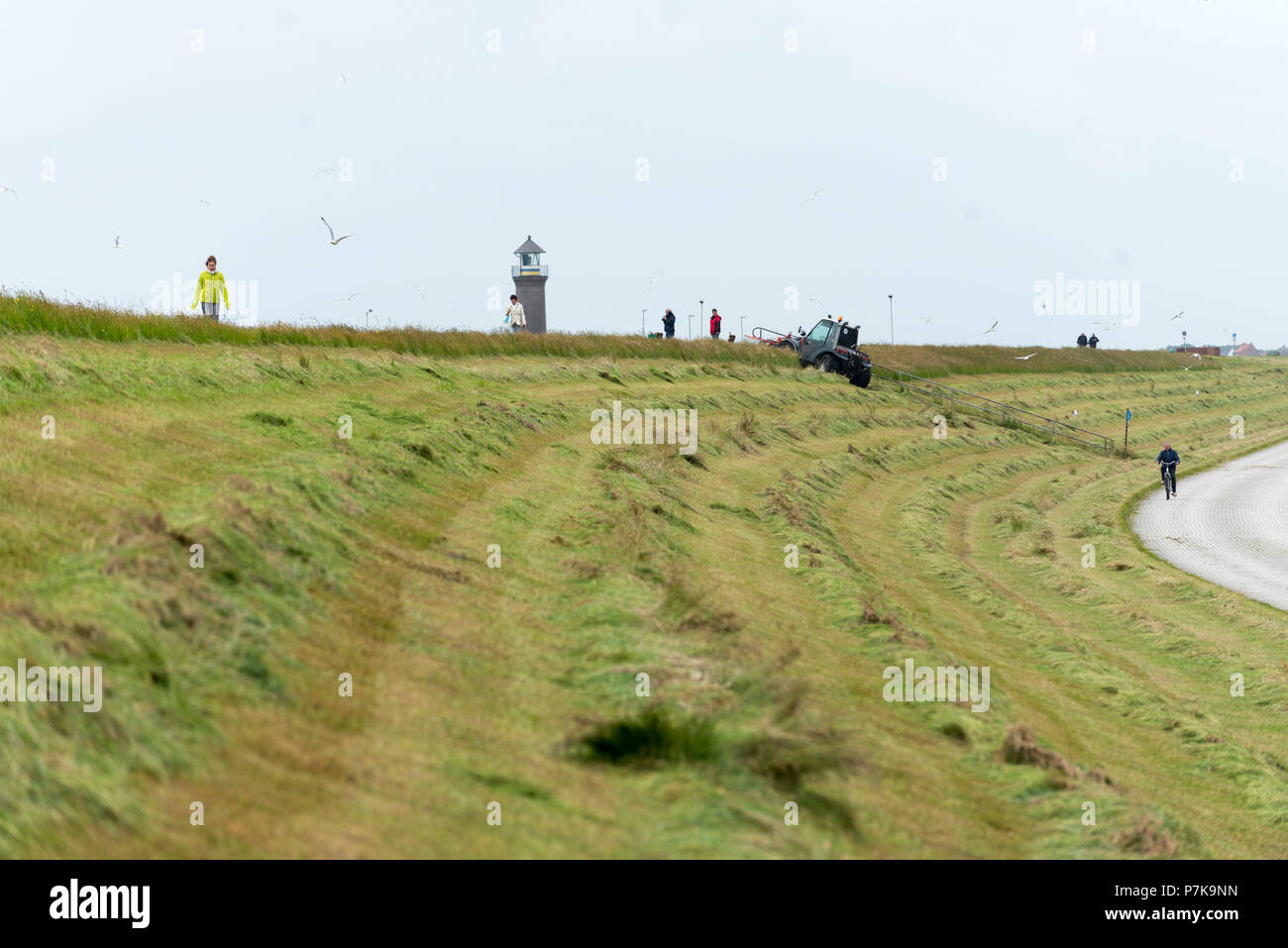 Deutschland Niedersachsen Ostfriesland Juist Der Deich Wird