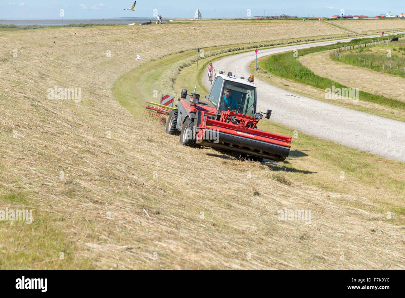 Deutschland, Niedersachsen, Ostfriesland, Juist, Pflege der schützenden Deich, Heu. Stockfoto