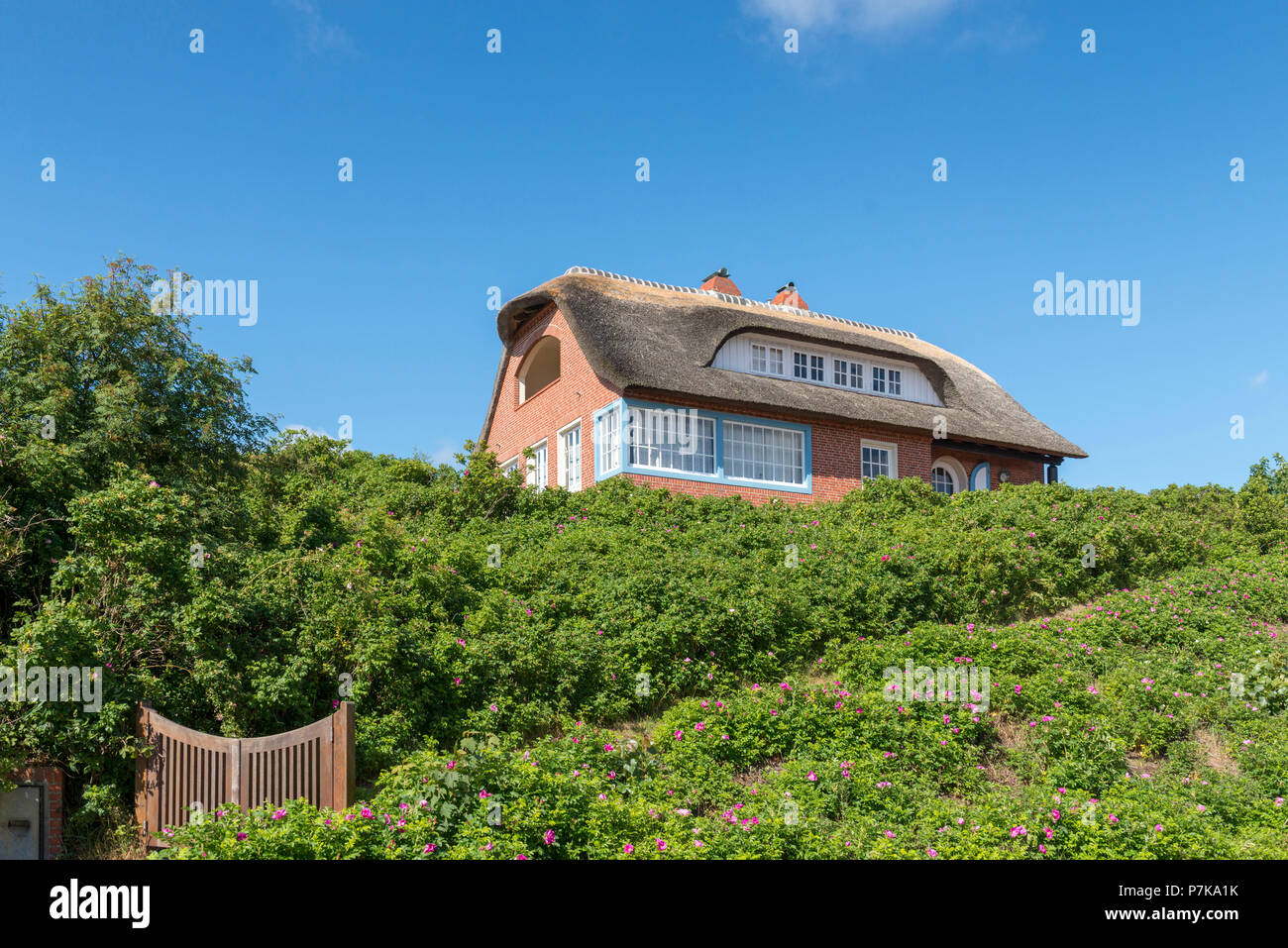 Deutschland Niedersachsen Ostfriesland Juist Strohgedeckten