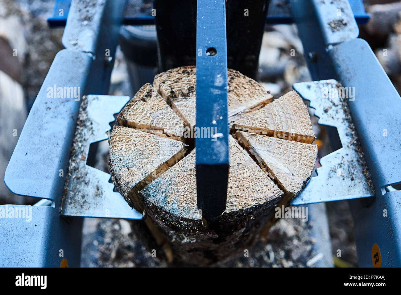 Prozess, Holzverarbeitung, Sägearbeiten Stockfoto