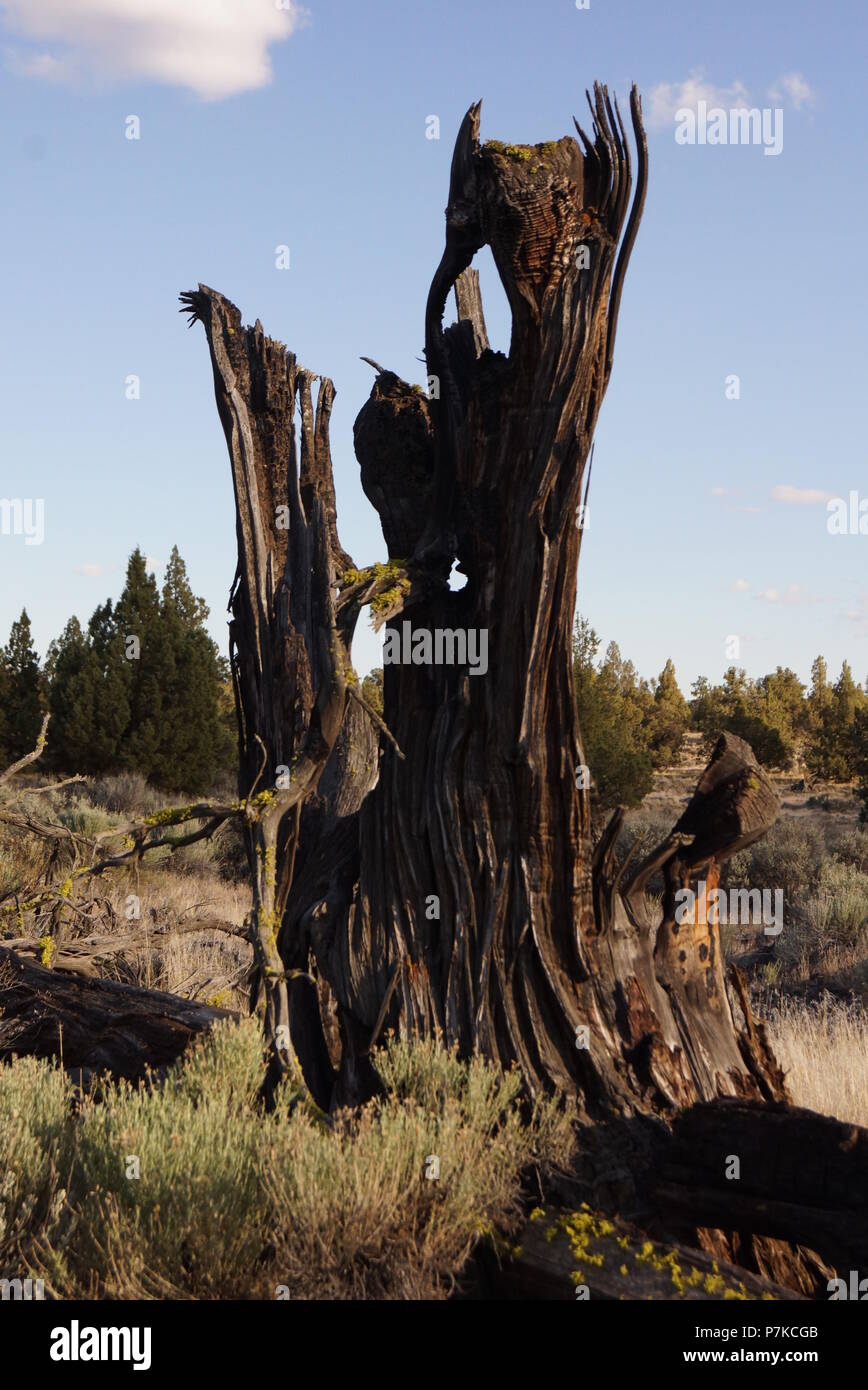 Wendung von Zeit Stockfoto