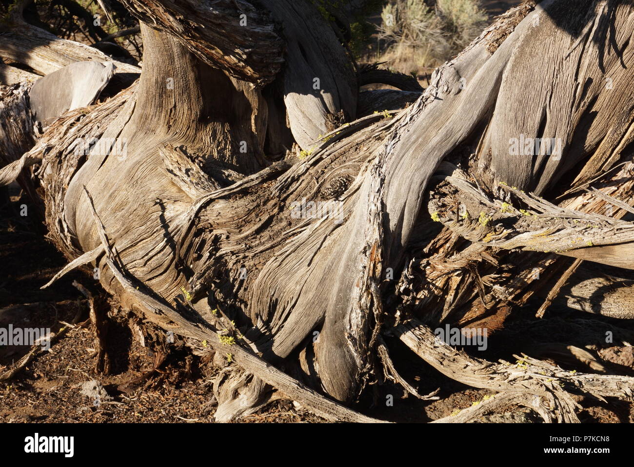 Wendung von Zeit Stockfoto