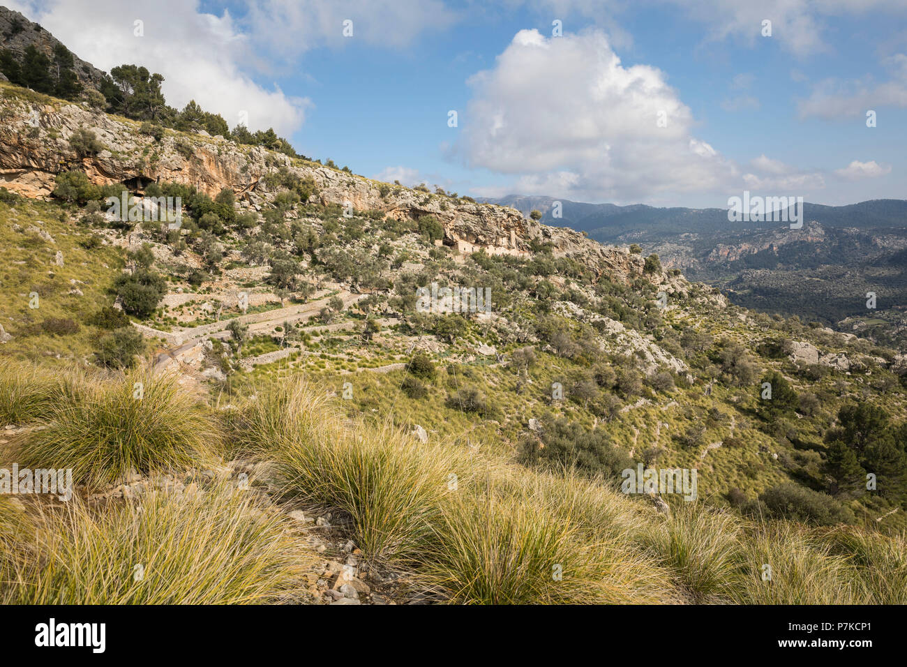 Spaziergang rund um den Puig Roig, Blick auf die Höhle Häuser Es Cosconar, Escorca, Mallorca, Balearen, Spanien Stockfoto
