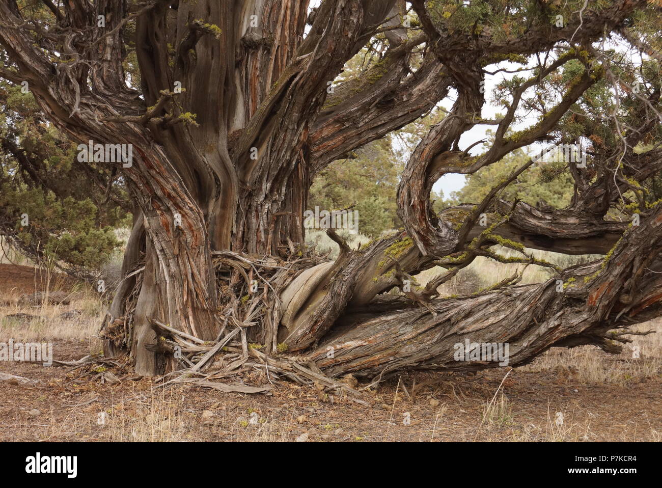 Wendung von Zeit Stockfoto