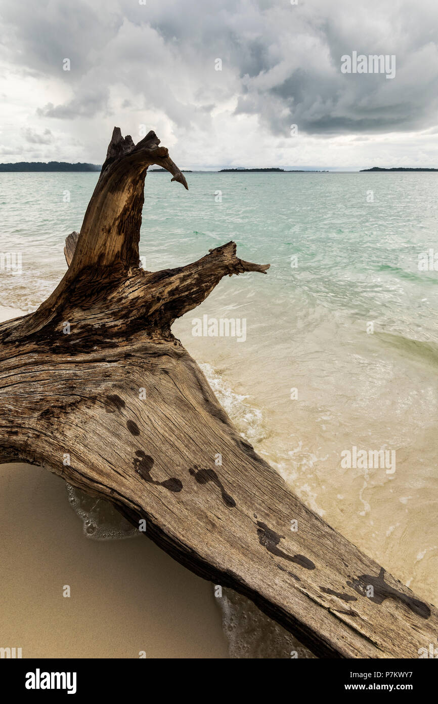Fußspur auf Treibholz am Strand auf dem banyak Inseln Stockfoto