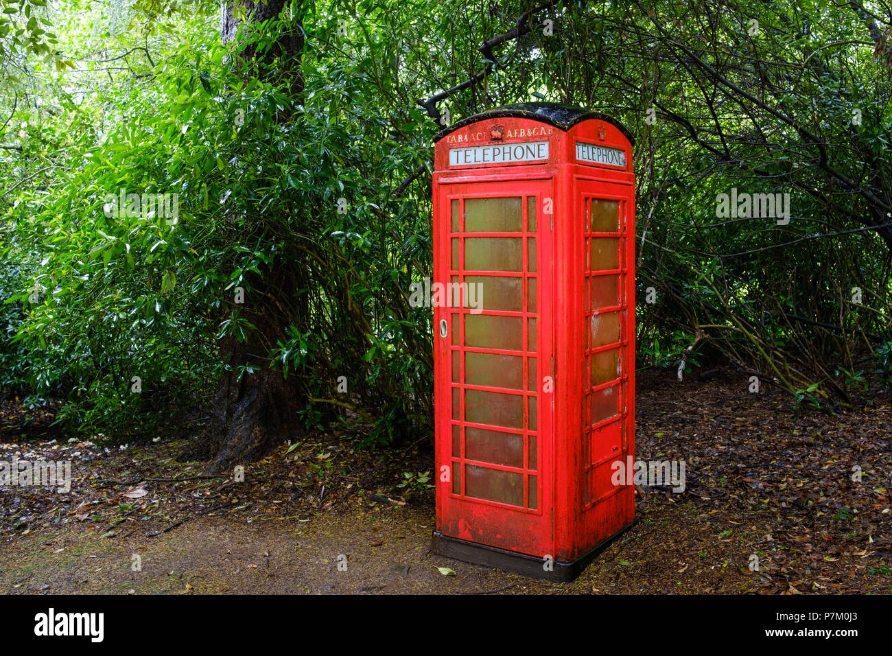 Rote Telefonzelle, Trewidden Garten, von Penzance, Cornwall, England, Großbritannien Stockfoto