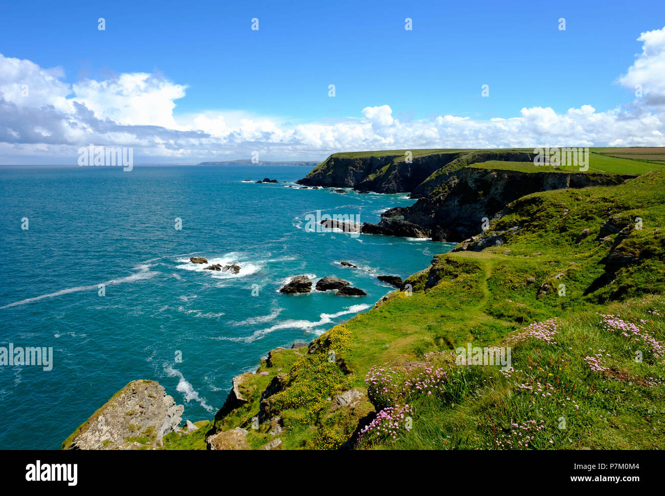 Klippe Küste bei godrevy Point, bei Gwithian, Cornwall, England, Großbritannien Stockfoto