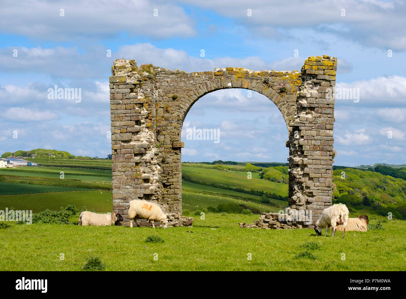 Turm der Ruine, am Kai, Hartland Hartland, Devon, England, Großbritannien Stockfoto