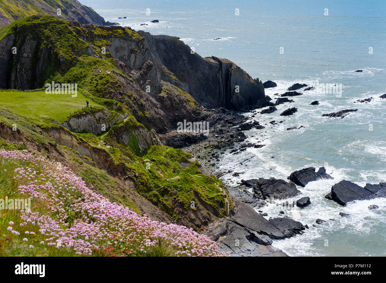 Cliff, Hartland Quay, Hartland, Devon, England, Vereinigtes Königreich Stockfoto