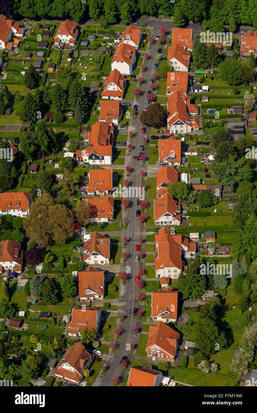 Zechensiedlung Teutoburgia in Herne-Börnig, Wohnsiedlung's Miner, roten Dächern und Straße von rot blühenden Bäumen gesäumt, Herne, Ruhrgebiet Stockfoto