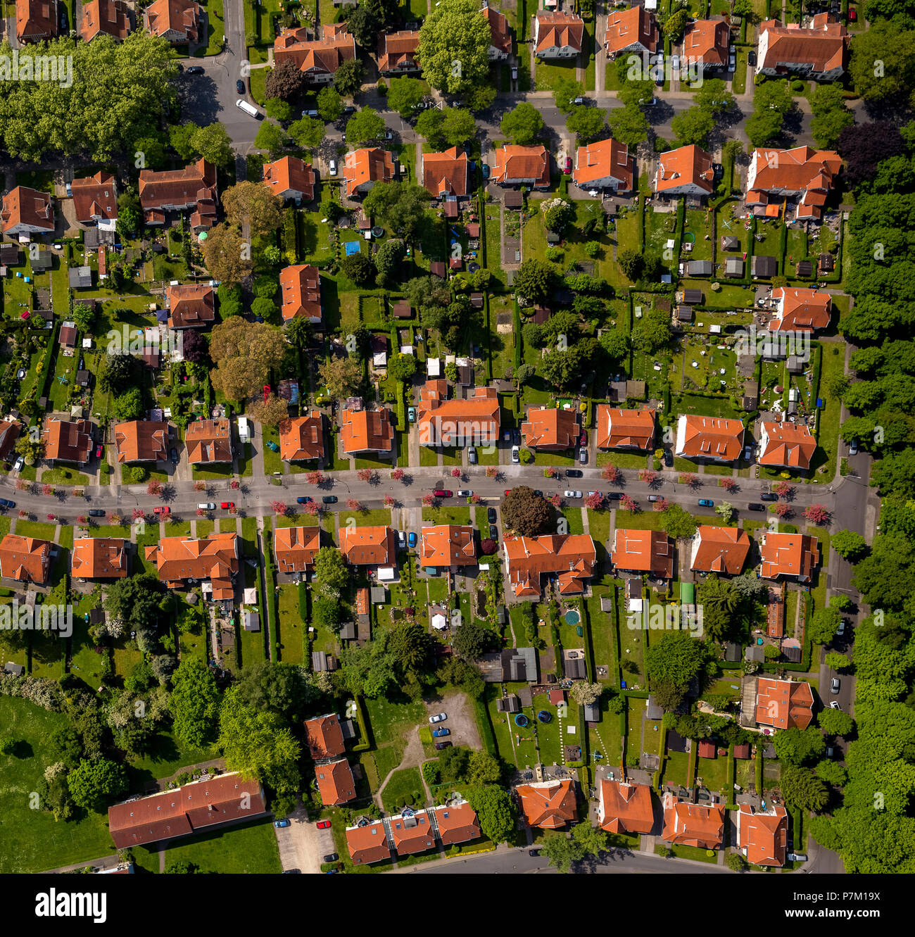 Zechensiedlung Teutoburgia in Herne-Börnig, Wohnsiedlung's Miner, roten Dächern und Straße von rot blühenden Bäumen gesäumt, Herne, Ruhrgebiet Stockfoto