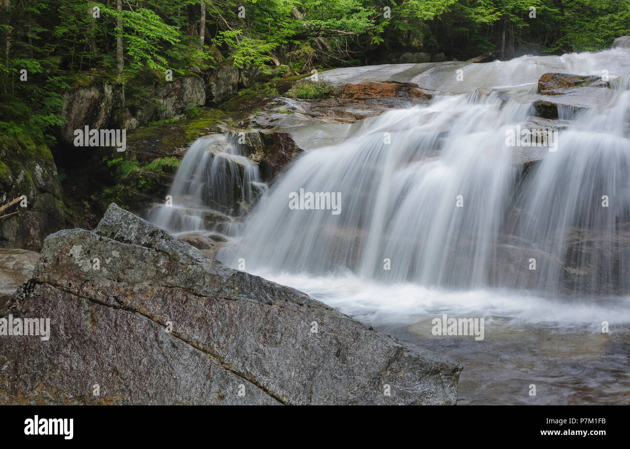 Eine kleine Kaskade auf dem Swift River, in der Nähe der Sawyer River Trail, in den weißen Bergen Stadt Livermore, New Hampshire. Während der Sommermonate. Stockfoto