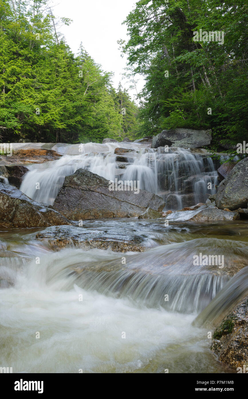 Eine kleine Kaskade auf dem Swift River, in der Nähe der Sawyer River Trail, in den weißen Bergen Stadt Livermore, New Hampshire. Während der Sommermonate. Stockfoto